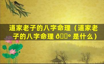 道家老子的八字命理（道家老子的八字命理 🐺 是什么）
